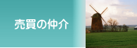 ̒